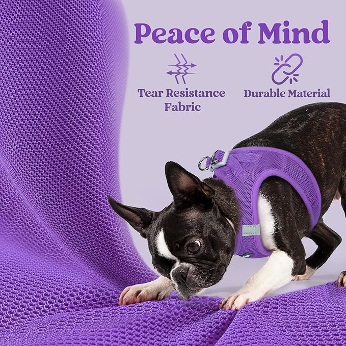 rabbitgoo Small Dog Harness, Step-in Soft Mesh Puppy Vest with Safety Buckle, Breathable Reflective Pet Harness for Small Sized Dogs, Purple XS