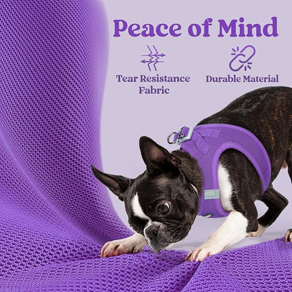 rabbitgoo Small Dog Harness, Step-in Soft Mesh Puppy Vest with Safety Buckle, Breathable Reflective Pet Harness for Small Sized Dogs, Purple XS