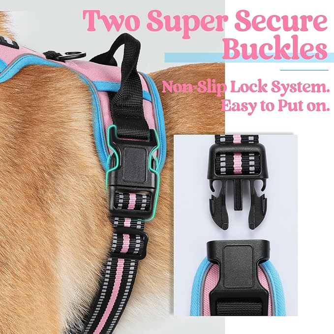 rabbitgoo Dog Harness No Pull with 2 Leash Clips, Adjustable Soft Padded, Reflective Oxford No Choke Pet Vest with Easy Control Handle for Large Dogs, Pink & Blue, XL