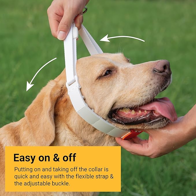 SVD.PET Dog Prong Collar for No-Pull Training, Quick-Release Buckle Adjustable Pinch Collar for Large Dogs (White, Large Size)