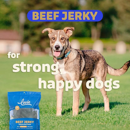 Lovie Beef Lung Dog Treats - Dehydrated Air Dried Soft Bites, Single Ingredient, Protein Rich, 16 oz (Beef Jerky)