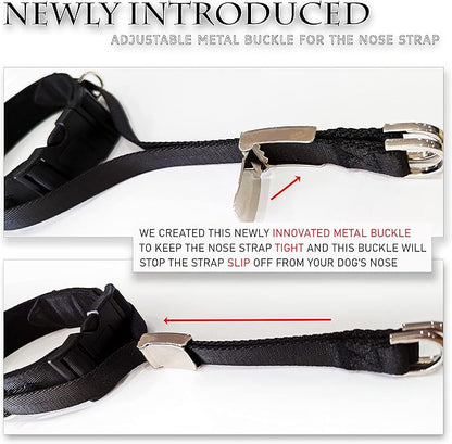 PetsProMax No-Pull Dog Headcollar for Small Dogs; Instant Stop Pulling; Gentle Training Collar for Dogs; Comfortable, Safe, and Effective Walking/Training Solution (Black, S)