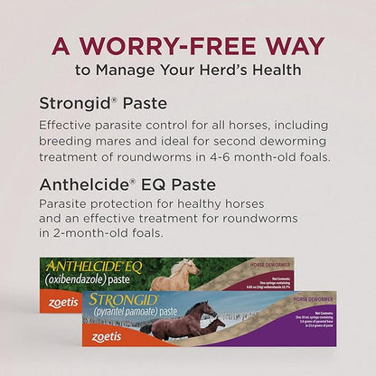Strongid Paste (pyrantel pamoate) Dewormer for Horses, Broad-Spectrum Parasite Control, 20 mL Syringe