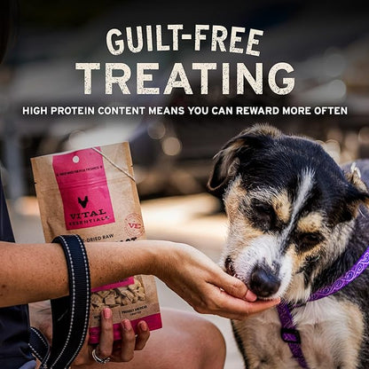 Vital Essentials Freeze Dried Dog Treats | Turkey Giblets, Single Ingredient | Premium Quality | Grain Free Training Treats for Dogs, 2 oz Bag