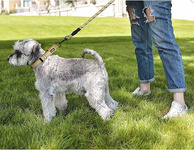 haapaw Martingale Dog Collar with Quick Release Buckle Reflective Dog Training Collars for Small Medium Large Dogs