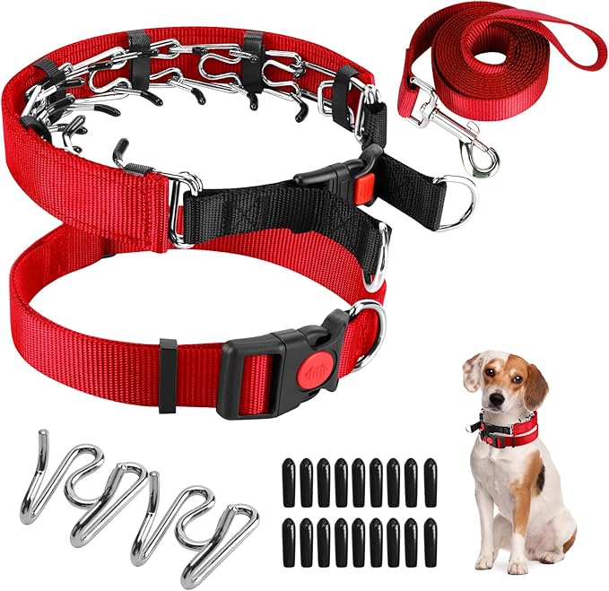 Prong Training Collar With Nylon Cover Comfort Tips and Quick Release Snap Buckle, Classic Collar and Leash for Small Medium Large Dogs