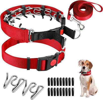 Prong Training Collar With Nylon Cover Comfort Tips and Quick Release Snap Buckle, Classic Collar and Leash for Small Medium Large Dogs
