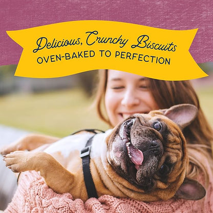 Natural Balance Limited Ingredient Rewards Crunchy Biscuits, Grain-Free Dog Treats for Adult Dogs of All Breeds, Venison Recipe, 14 Ounce (Pack of 1)