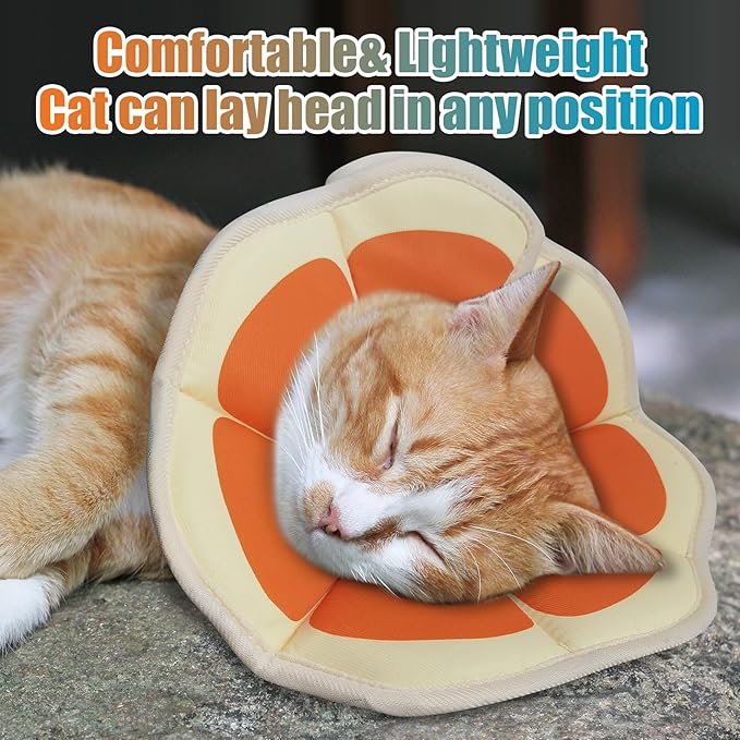 Cat Cone Collar Soft, Comfortable E Collar for Cats After Surgery, Recovery Elizabethan Collar for Cats Kitten to Stop Licking, Orange S