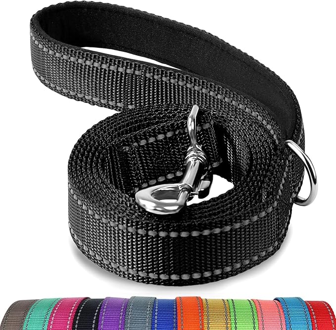 Joytale Dog Leash, 5 FT Double-Sided Reflective, Padded Handle Nylon Heavy Duty Leashes for Medium & Large Dogs Walking, Black