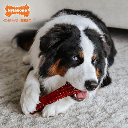 Nylabone Textured Bone Power Chew Toy for Dogs, Durable & Tough Dog Toys for Aggressive Chewers, Basted Blast Bacon and Steak Flavor, X-Large Dogs - 50+ lbs, 1 Count