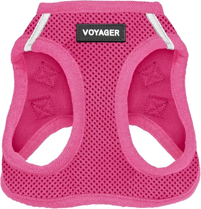 Best Pet Supplies Voyager Step-in Air Harness - All Weather Mesh, Reflective, No Pull Harness for Dogs, Cats - Secure with Hook & Loop Fastener, Buckle, Double D-Rings - Fuchsia, XXXS