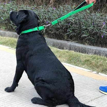 Hyhug Martingale Dog Collar Medium Green |Escape - Proof Heavy Duty Nylon Durable No Slip, Ideal for Training & Daily Walks