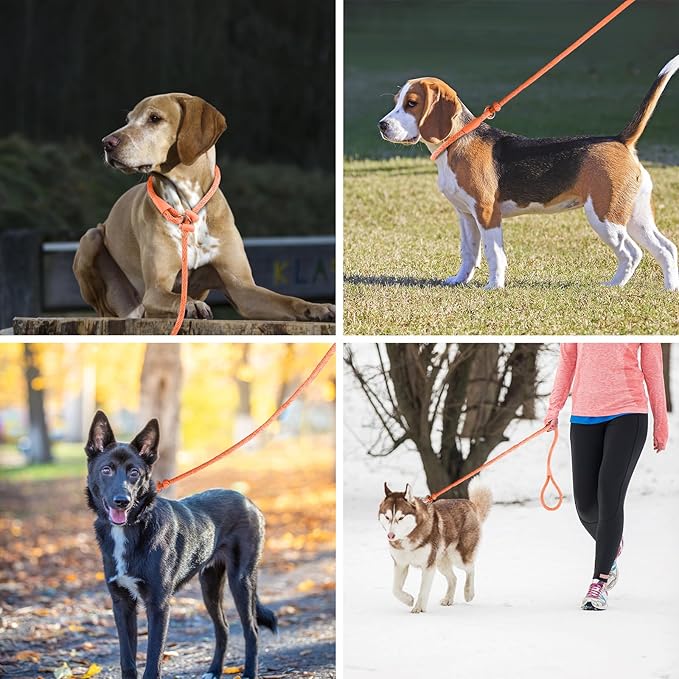 Lynxking Dog Leash Slip Lead Reflective Breathable Rope Comfortable Strong No Pull Slip On Pet Training Lead for Dogs (Pack of 2)