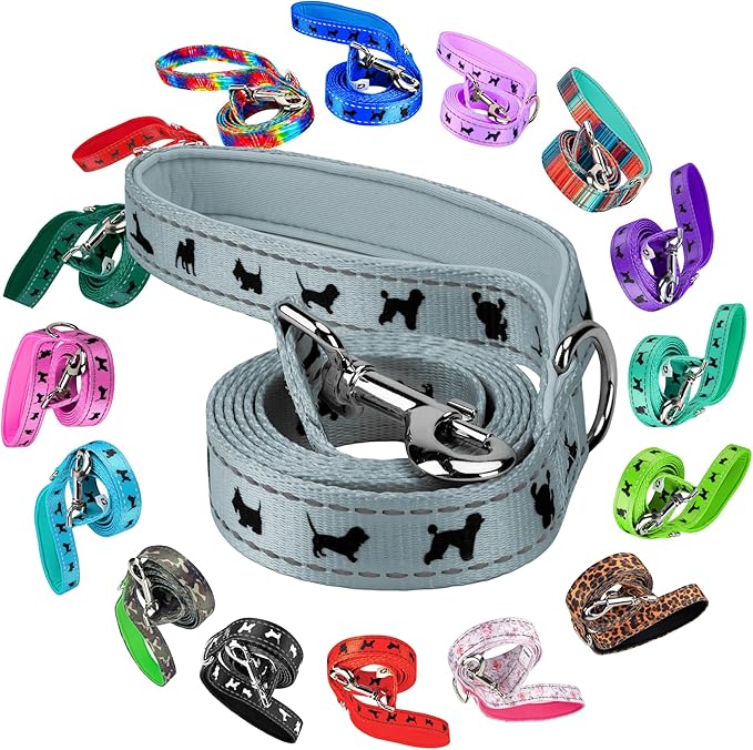 EcoBark Dog Leash - Soft & Reflective Comfort Leash with Padded Handle - Safe, Strong, & Durable for Small, Medium or Large Dogs (Gray)