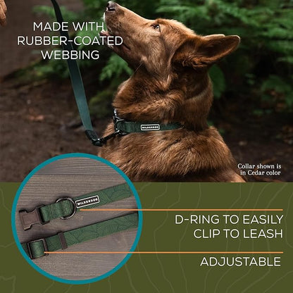 Wilderdog Waterproof Dog Collar - Repels Water & Dirt - Large 17"-24" - Cedar