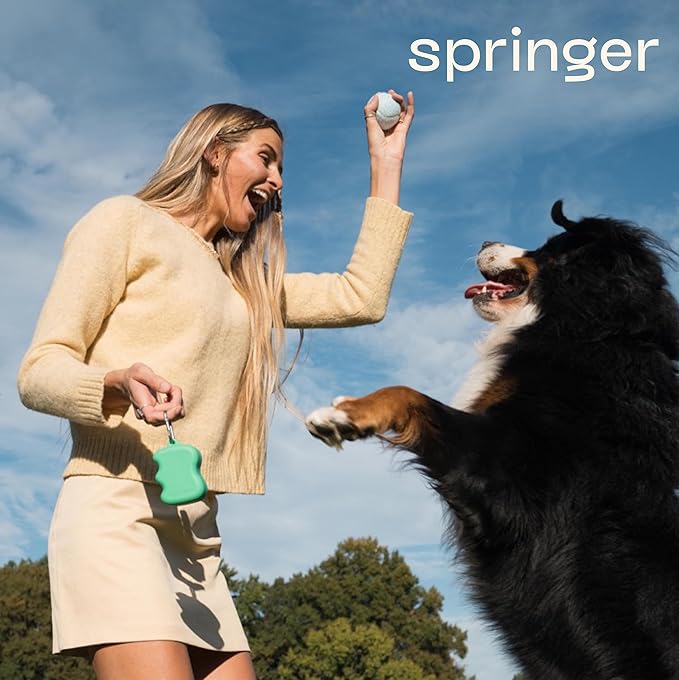 Springer Dog Treat Pouch for Effort-Free Squeeze Dispensing - Easy-Fill, Food-Grade Silicone Treat Pouches for Pet Training - Includes Carabiner-Green