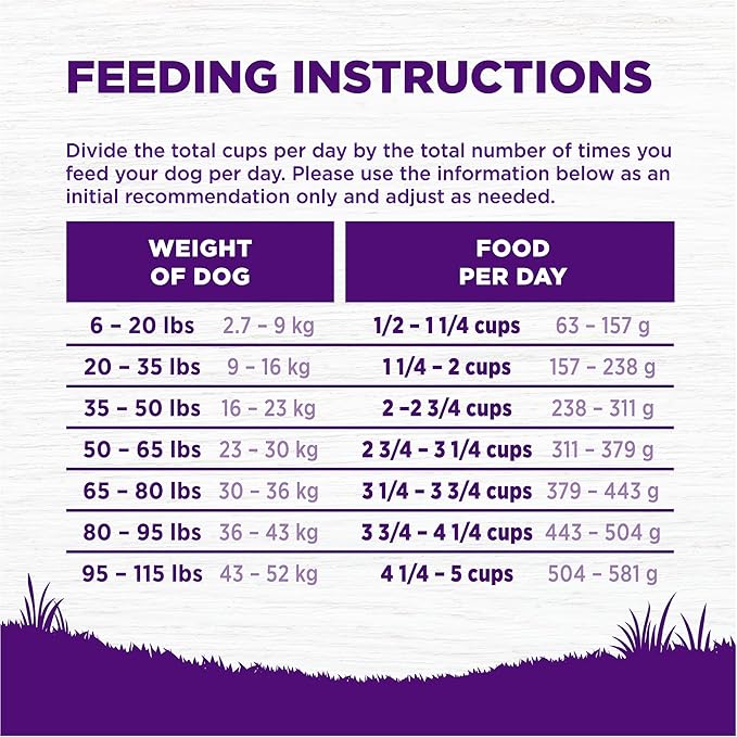 Wellness Complete Health Dry Dog Food, Wholesome Grains, Natural, Lamb & Barley, (5-Pound Bag)