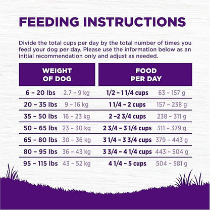 Wellness Complete Health Dry Dog Food, Wholesome Grains, Natural, Lamb & Barley, (5-Pound Bag)