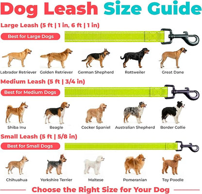 Best Pet Supplies Voyager Reflective Dog Leash or Collar with Neoprene Handle, for Small, Medium, and Large Breed Puppies, Cute and Heavy Duty for Walking, Running and Training - Lime Green (Leash), M