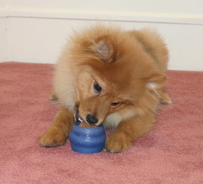 Starmark Everlasting Treat Ball Small with 1 treat