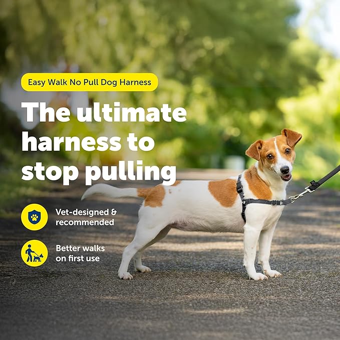 PetSafe Easy Walk Harness for Dogs - Pull-Free Walks - Patented Martingale Loop Design - Front Chest Leash Attachment - Comfort Straps - Breathable Harness Design - Small, Charcoal/Black