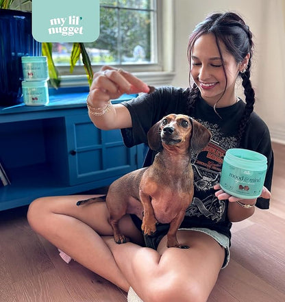 My Lil’ Nugget - Vet-Approved Mood & Cognition Chews for Dogs | All-Natural Dog Mental Health Support & Improve Memory | Lion’s Mane & Ashwagandha | Helps Puppy to Senior Dogs | 90 Salmon Flavor Chews