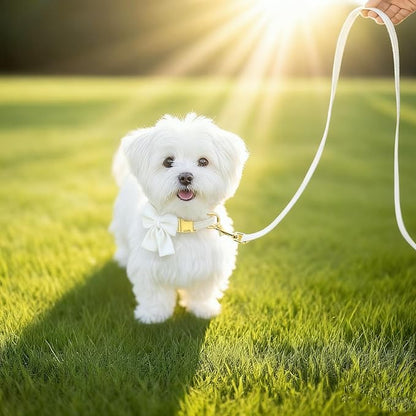 Dog Collar and Leash Set with Bowtie, Girl Dog Collars Metal Buckle Adjustable for Small Medium Dogs (White, S: Neck 10"-16" Leash 5 FT)