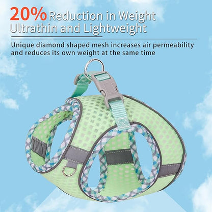 Summer Pet Supply No Pull, Step in Adjustable Dog Harness with Padded Vest for Hot Weather, Escape Proof Ultra Thin Soft Easy to Put on Small Dogs Sage S