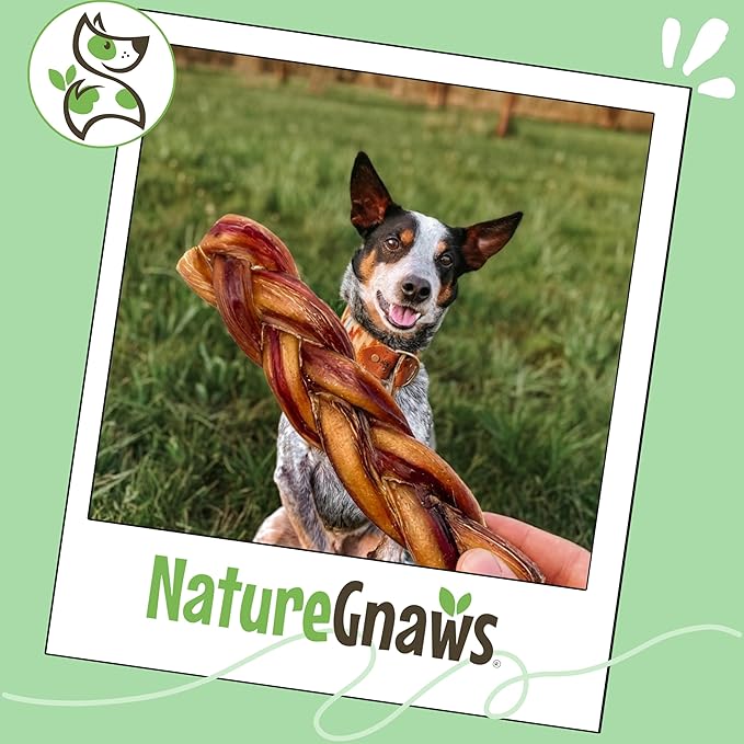 Nature Gnaws Braided Bully Sticks for Dogs 5-6" (10 Count) - Long Lasting for Small and Medium Dogs - Natural Beef Dog Chew Bones - Rawhide Free