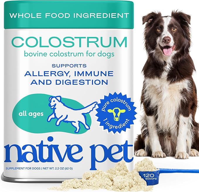 Native Pet Colostrum for Dogs - Bovine Colostrum Powder - Dog Allergy Relief, Itchy Skin Relief, Immune Support & Gut Health - 100% Single-Ingredient Supplement with Bioactive Nutrients - 120 Scoops