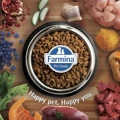Mini Breed Adult Grain Free Pumpkin Chicken & Pomegranate Dry Dog Food by Farmina