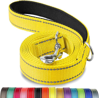 Joytale Dog Leash, 5 FT Double-Sided Reflective, Padded Handle Nylon Heavy Duty Leashes for Small Dogs Walking, Yellow