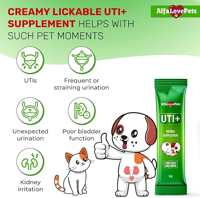 Cat UTI Treatment for Frequent Urination, Bladder & Kidney Irritation – Squeezable Dog UTI Treatment for Natural Care – Creamy UTI+ Cranberry Supplement for Dogs with Chicken Flavor – 10 Sticks x 5 g