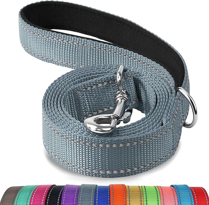 Joytale Dog Leash, 6 FT Double-Sided Reflective, Padded Handle Nylon Heavy Duty Leashes for Medium & Large Dogs Walking, Grey