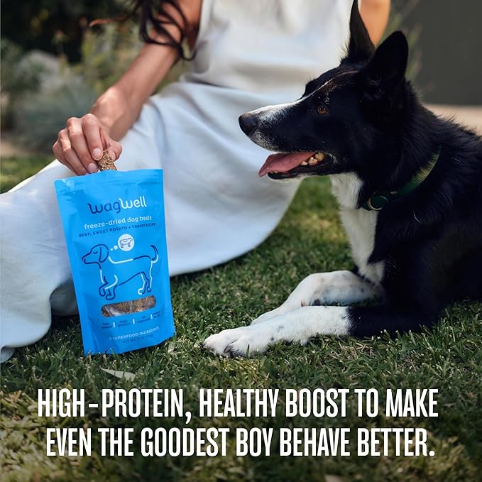 WagWell Freeze Dried Dog Treats, Beef + Yogurt + Sweet Potato Flavor | Training Treats, Food Topper, Healthy Snack for Dogs | Human Grade, Grain Free, High Protein | Made in USA | 4 oz Bag, 2 Pack