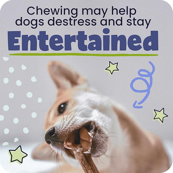 Pawstruck Natural 12" Braided Bully Sticks for Dogs – Tough, Long-Lasting, Rawhide-Free, Low-Odor, Single Ingredient Chew Treat for Aggressive Chewers – 5 Count – Packaging May Vary