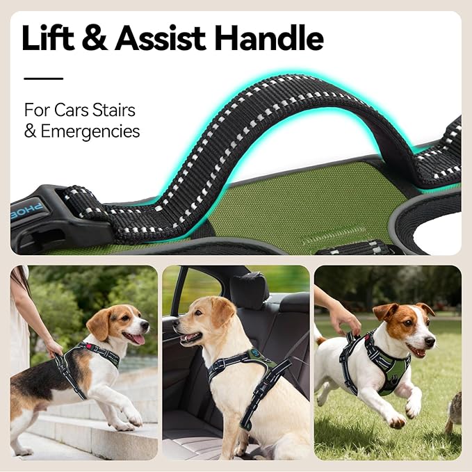 PHOEPET No Pull Dog Harness with Handle Front & Back Clip, Easy on Lockable Snap Buckle at Neck, Adjustable Reflective Vest with Handle for Small Medium Large Dogs (XL, Misty Green)