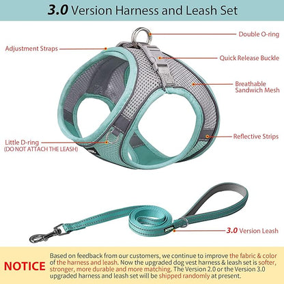 AIITLE Step in Dog Harness and Leash Set - No Pull Escape Proof Vest Harnesses with Soft Mesh and Reflective Bands, Adjustable Pet Outdoor Harnesses for Small and Medium Dogs Turquoise M