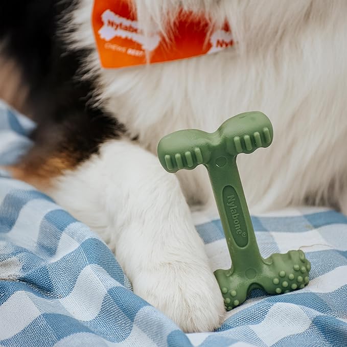 Nylabone Easy-Hold Dental Bone Power Chew Toy for Dogs, Dog Toys for Aggressive Chewers, Bacon Flavor, Large - Up to 50 lbs, 1 Count