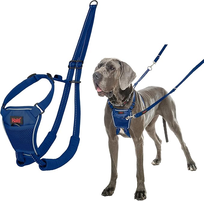 Halti No Pull Harness - Stop Your Dog Pulling on The Leash. Adjustable, Lightweight and Easy to Use. Reflective Dog Training Harness for Large Dogs (Size L, Cobalt Blue)