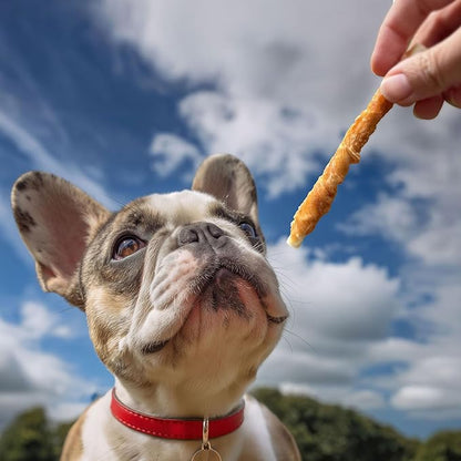 Pet 'n Shape Hide Twists – Chicken Wrapped Rawhide Dog Treats - Small Twist - 2 Pounds