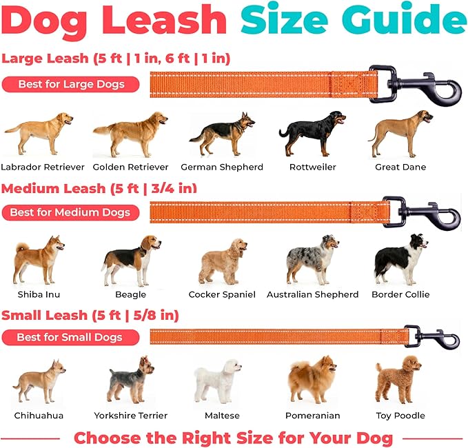 Best Pet Supplies Voyager Reflective Dog Leash or Collar with Neoprene Handle, for Small, Medium, and Large Breed Puppies, Cute and Heavy Duty for Walking, Running and Training - Orange (Leash), M