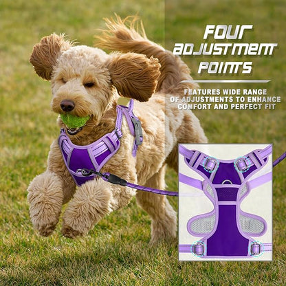 BARKBAY No Pull Dog Harness Front Clip Heavy Duty Reflective Easy Control Handle for Large Dog Walking(Violet Purple & Purple,XS)