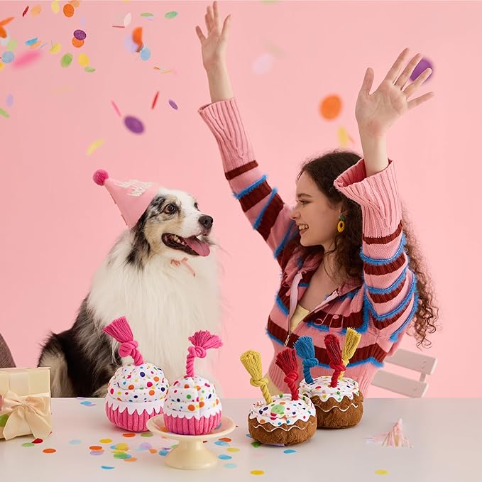LE SURE Dog Birthday Cake Toy - Cute Squeaky Dog Toy for Gentle Chewers with Interactive Tug Rope, Plush Interactive Toy for Adult Dogs Birthday Party, Standard, Pink