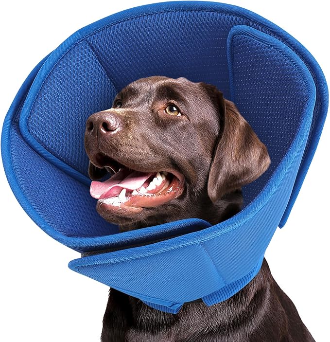 Queenmore Dog Cone,Soft Dog Cones for Large Dogs After Surgery,Comfy Cone for Dogs to Stop Licking, Adjustable Recovery Collar,Elizabethan Pet E-Collar for Wound Healing,Blue,L