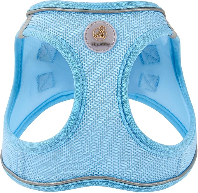Hipubby Dog Harness and Leash Set, No Pull Soft Mesh Puppy Harness for Small Medium Dogs, Cats - Step in Reflective Breathable Lightweight Vest Harness for Walking, Training - Blue, L