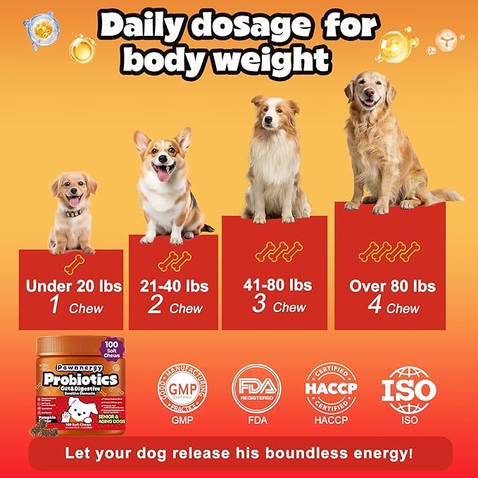 Probiotics for Dogs - Improve Gut Health, Digestive, Immunity, Yeast Balance, Solid Stool - with Prebiotics - Reduce Diarrhea, Gas, Bad Breath, Constipation, Allergy - Ideal for Senior Dogs (5+ Years)