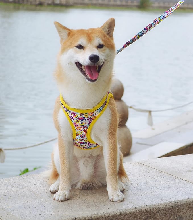 Moonpet Step in Dog Harness Leash Set- All Weather Reflective No-Pull Floral Pattern Padded Mesh Vest Harness for Cats Puppy Extra-Small Small Medium Large Dogs - White Flower - XL