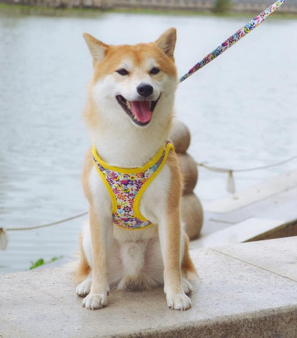 Moonpet Step in Dog Harness Leash Set- All Weather Reflective No-Pull Floral Pattern Padded Mesh Vest Harness for Cats Puppy Extra-Small Small Medium Large Dogs - White Flower - XL